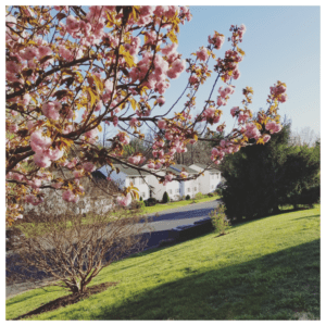 CM_Photogrid_1681252655661 CM_Photogrid_1681252655661
