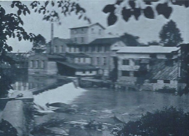 Rife Ram near Chestnut Ave